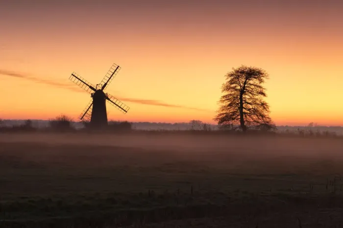 Framed Print : St. Benets Mill & Tree at Sunset, Norfolk Broads National Park, Norfolk, England