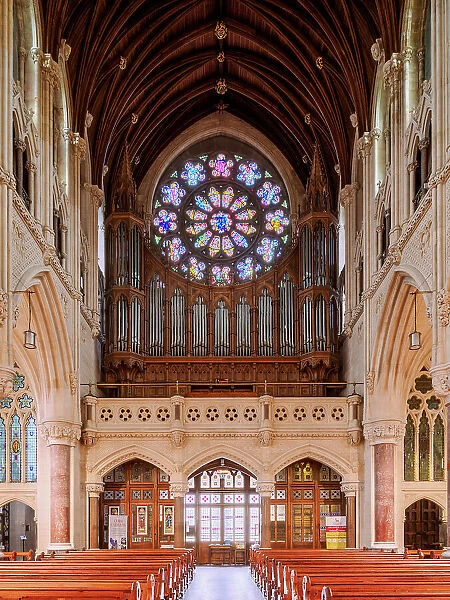 St. Colman's Cathedral, interior, Cobh, County Cork, Ireland