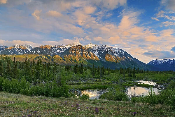 St. Elias Mountains near Haines Junction Yukon, Canada
