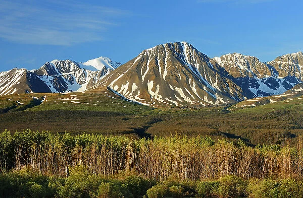 St. Elias Mountains near Haines Junction Yukon, Canada
