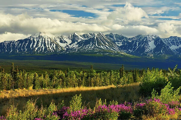 St. Elias Mountains, a subgroup of the Pacific Coast Ranges from Haines Junction Yukon, Canada