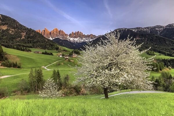 St. Magdalena and the Odle group. Funes Valley South Tyrol Dolomites Italy Europe