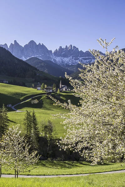 St. Magdalena and the Odle group. Funes Valley South Tyrol Dolomites Italy Europe