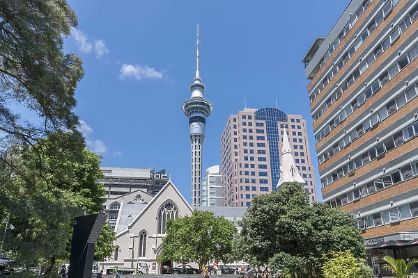 St Patricks Cathedral, Sky Tower and surrounding buildings