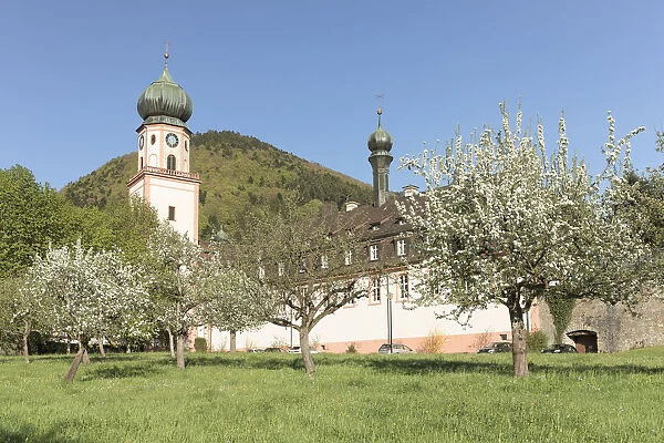 St. Trudpert Monastery, Munstertal Valley, Southern Black Forest, Baden-Wurttemberg, Germany