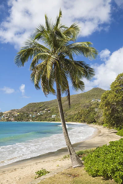 St Vincent and The Grenadines, Bequia, Friendship Bay