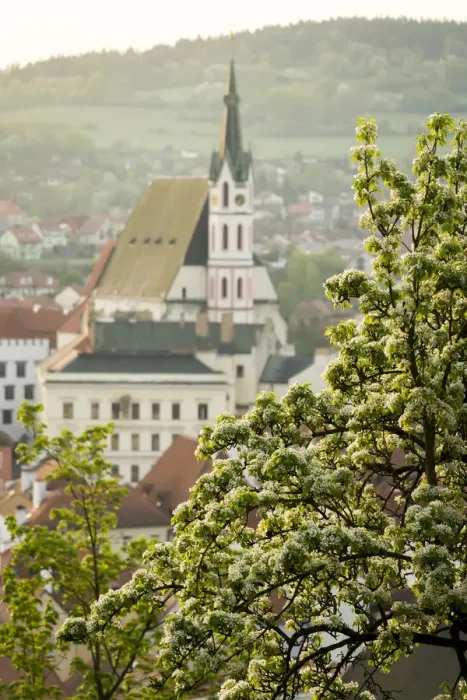 Framed Print : St. Vitus Church in spring, Cesky Krumlov, South Bohemian Region, Czech Republic Framed Print : St. Vitus Church in spring, Cesky Krumlov, South Bohemian Region, Czech Republic