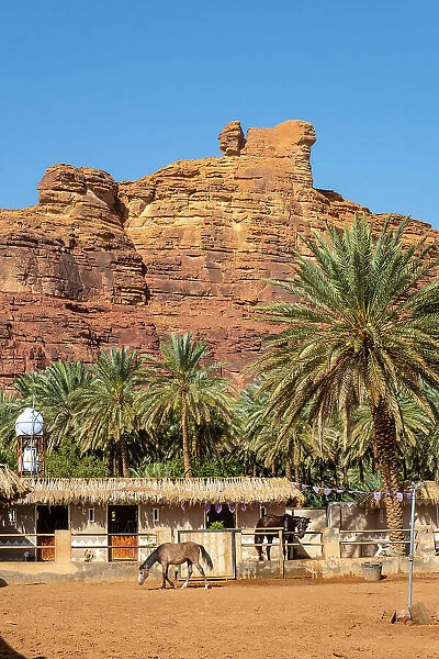 Stables & Date palms in the Oasis of Al-Ula, Medina Province, Saudi Arabia