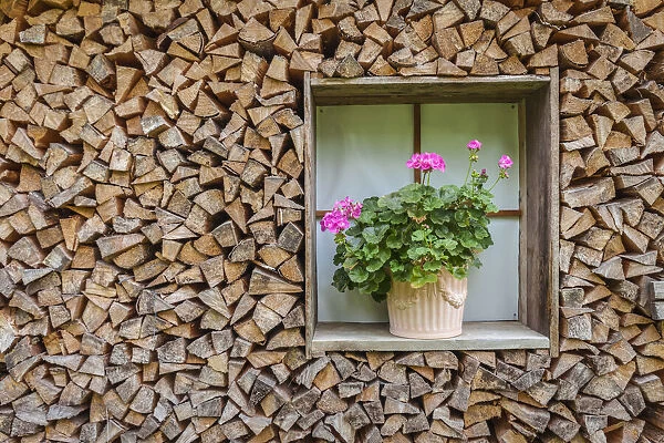 Stacked firewood and potted plant at historic farm near Seefeld in Tirol, Tyrol, Austria