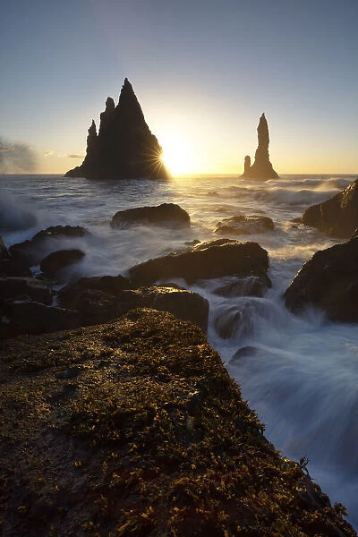 the stacks of Vik i Myrdal, seen from Reynisfjara beach, during a winter sunrise, southern Iceland