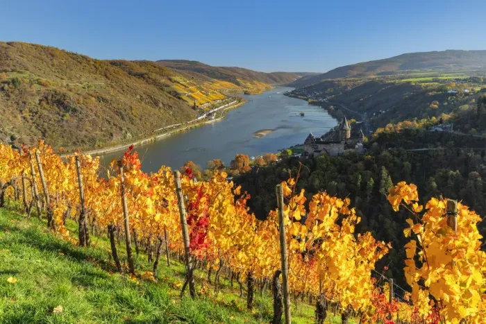 Framed Print : Stahleck Castle and Rhein River, Bacharach, Upper Middle Rhine Valley, Rhineland-Palatinate, Germany Framed Print : Stahleck Castle and Rhein River, Bacharach, Upper Middle Rhine Valley, Rhineland-Palatinate, Germany