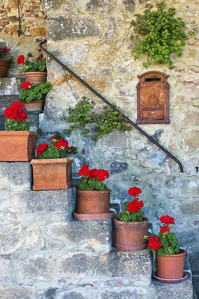 Staircase of Geraniums, Tuscany, Italy