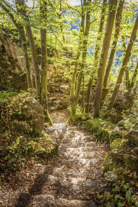 Framed Print : Staircase in the Nature Parc de Furfooz near Dinant, Namur, Belgium Framed Print : Staircase in the Nature Parc de Furfooz near Dinant, Namur, Belgium