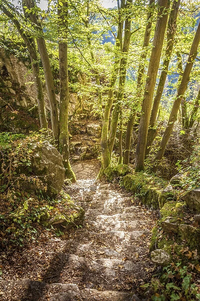 Staircase in the Nature Parc de Furfooz near Dinant, Namur, Belgium
