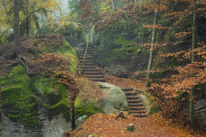 Framed Print : Stairs on a hiking trail in the forest in autumn, Hruba Skala, Semily District, Liberec Region, Bohemia, Czech Republic