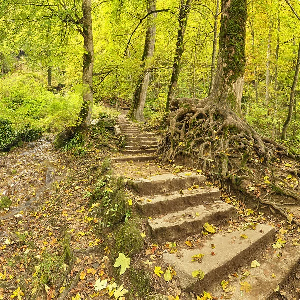 Stairways to Bad Urach Waterfall, Swabian Jura, Baden- Wurttemberg, Germany
