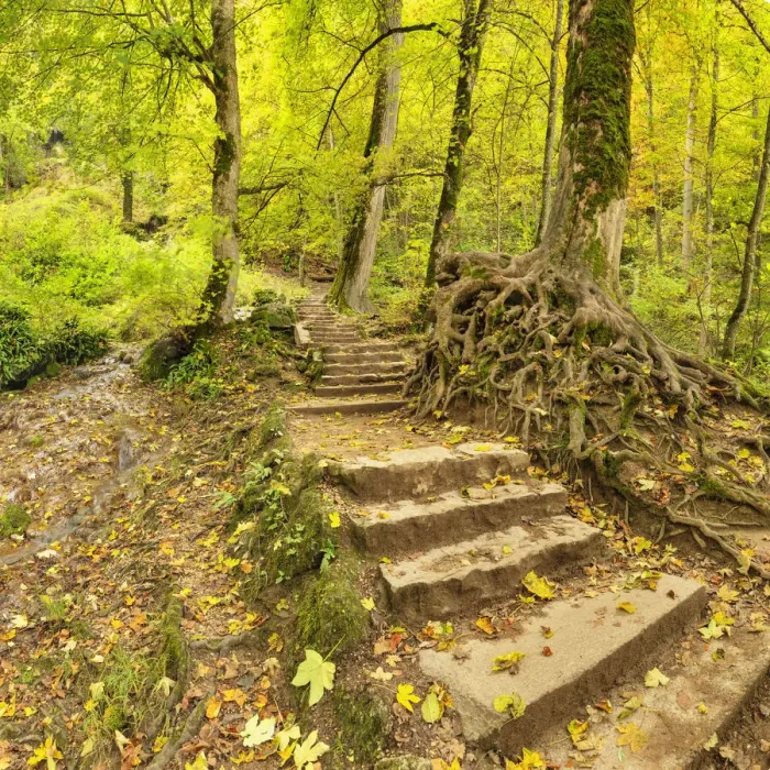 Framed Print : Stairways to Bad Urach Waterfall, Swabian Jura, Baden- Wurttemberg, Germany Framed Print : Stairways to Bad Urach Waterfall, Swabian Jura, Baden- Wurttemberg, Germany