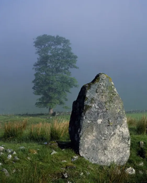 Framed Print : Standing stone and Oak tree Framed Print : Standing stone and Oak tree
