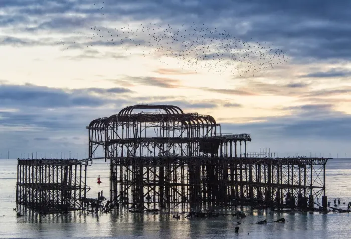 Framed Print : Starling murmuration above Brighton West Pier, East Sussex, England