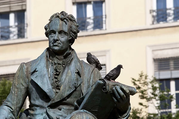 Statue covered in pigeons in Lyon France