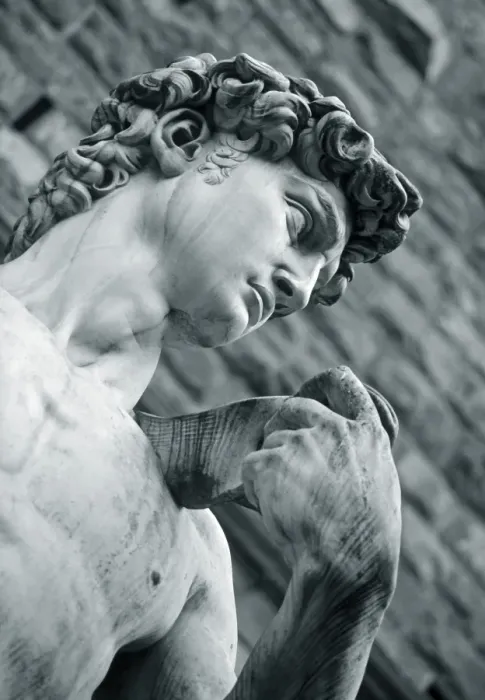 Framed Print : Statue of David Framed Print : Statue of David