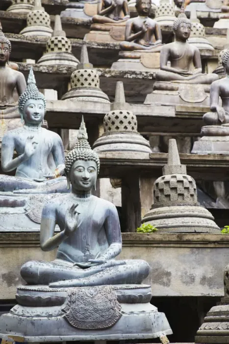 Framed Print : Statues at Gangaramaya temple, Cinnamon Gardens, Colombo, Sri Lanka
