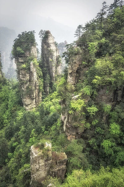 the steep cliffs of Yellow Stone Village, zhangjiajie national forest park, Hunan, China