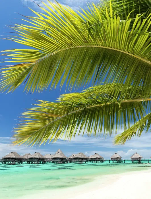 Framed Print : Stiled hotel suites and beach scene, Mo'orea, Society Islands, Pacific Ocean, French Polynesia