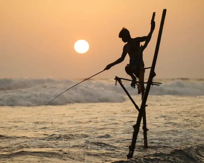 Framed Print : Stilt Fishermen at dusk, Weligama, South Coast, Sri Lanka, Asia Framed Print : Stilt Fishermen at dusk, Weligama, South Coast, Sri Lanka, Asia
