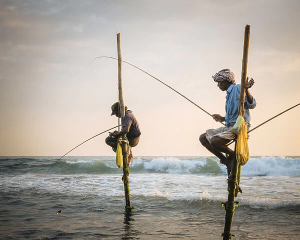 Stilt Fishermen at dusk, Weligama, South Coast, Sri Lanka, Asia
