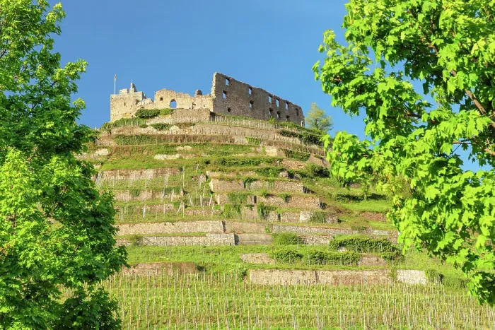 Framed Print : StÔÇÜAaaufen Castle ruins, Staufen im Breisgau, Markgrafler Land, Black Forest, Baden Wurttemberg, Germany