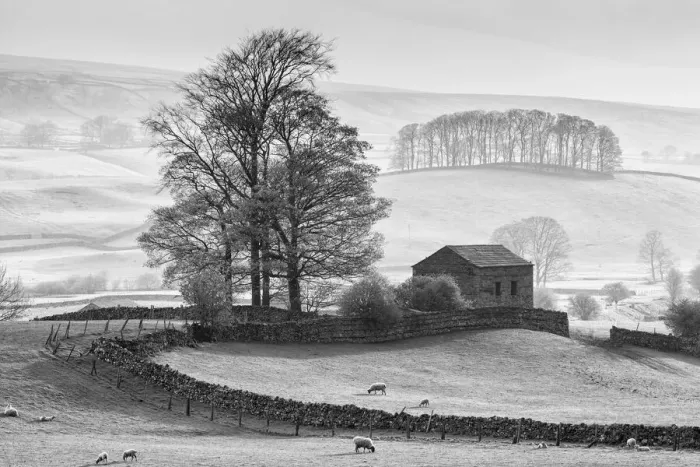 Framed Print : Stone barn near Hawes, Wensleydale, Yorkshire Dales National Park, England