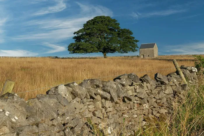 Framed Print : Stone Barn & Tree, Tidesdale, Peak District National Park, Derbyshire, England Framed Print : Stone Barn & Tree, Tidesdale, Peak District National Park, Derbyshire, England