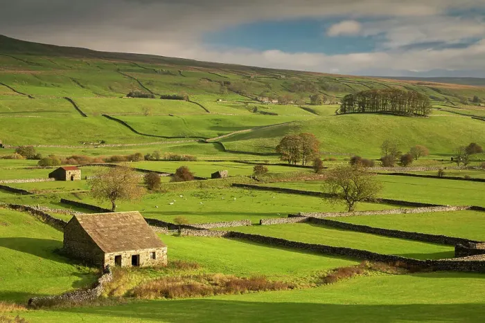 Framed Print : Stone barns and dry stone walls in beautiful Wensleydale in the Yorkshire Dales National Park, Yorkshire, England. Autumn (October) 2018 Framed Print : Stone barns and dry stone walls in beautiful Wensleydale in the Yorkshire Dales National Park, Yorkshire, England. Autumn (October) 2018