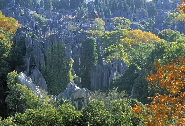 Stone Forest, Yunnan, Chiina