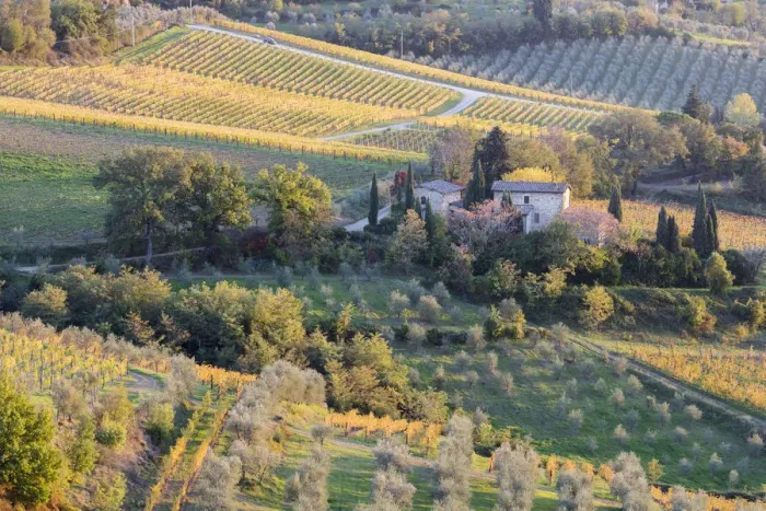 Framed Print : A stone house surrounded by vines and olive orchards in the autumn, Greve in Chianti Framed Print : A stone house surrounded by vines and olive orchards in the autumn, Greve in Chianti