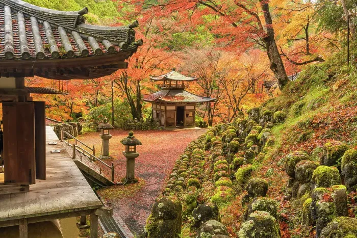 Framed Print : Stone statues at Otagi Nenbutsu ji Temple in Autumn, Arashiyama Sagano area, Kyoto, Japan Framed Print : Stone statues at Otagi Nenbutsu ji Temple in Autumn, Arashiyama Sagano area, Kyoto, Japan