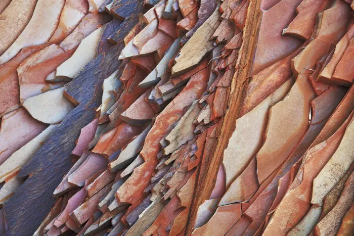 Framed Print : Stone structure in Hamersley Gorge - Australia, Western Australia, Pilbara Framed Print : Stone structure in Hamersley Gorge - Australia, Western Australia, Pilbara