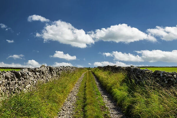 Stone Walls & Track, Peak District National Park, Derbyshire, England