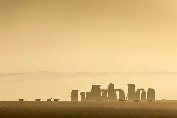 Stonehenge at sunrise in midsummer, Salisbury Plain, Wiltshire, England