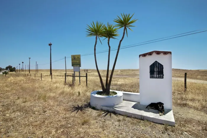 Framed Print : Storks and dog, Castro Verde, Alentejo, Portugal