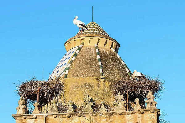 Storks nesting on the church roof, Trujillo, Extremadura, Caceres, Spain