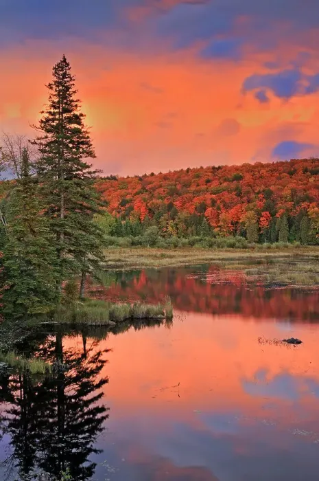Framed Print : Storm light on Oxtongue Lake at sunset Oxtongue Lake Provincial Park, Ontario, Canada Framed Print : Storm light on Oxtongue Lake at sunset Oxtongue Lake Provincial Park, Ontario, Canada