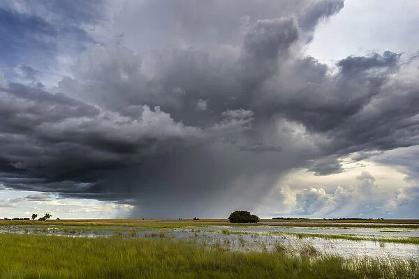 Storm and rain cloud over grassland during the rainy season, Liuwa Plain National Park, Zambia