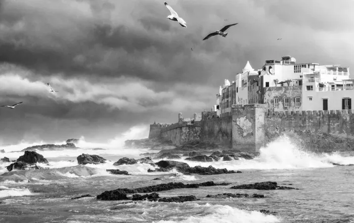 Framed Print : Storm and seagulls over Essaouira, Marrakech-Tensift-Al Haouz, Morocco Framed Print : Storm and seagulls over Essaouira, Marrakech-Tensift-Al Haouz, Morocco