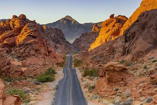 Straight road between red rocks at sunrise, Valley of Fire State Park, Nevada