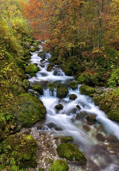 Framed Print : Stream flowing through woodland in autumn, Jamnik, Slovenia Framed Print : Stream flowing through woodland in autumn, Jamnik, Slovenia
