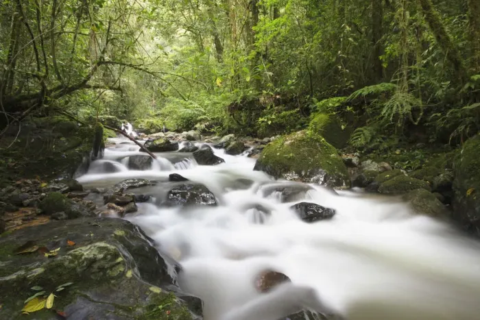Framed Print : Stream in Kinabalu National Park, Sabah, Malaysia