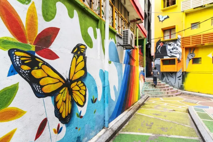 Framed Print : Street Art, Kuala Lumpur, Malaysia, South East Asia