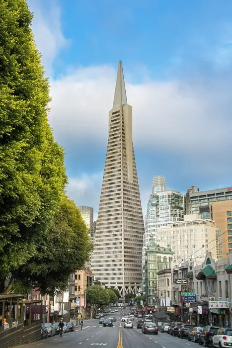 Framed Print : Street leading to Transamerica Pyramid in city, San Francisco, California, USA